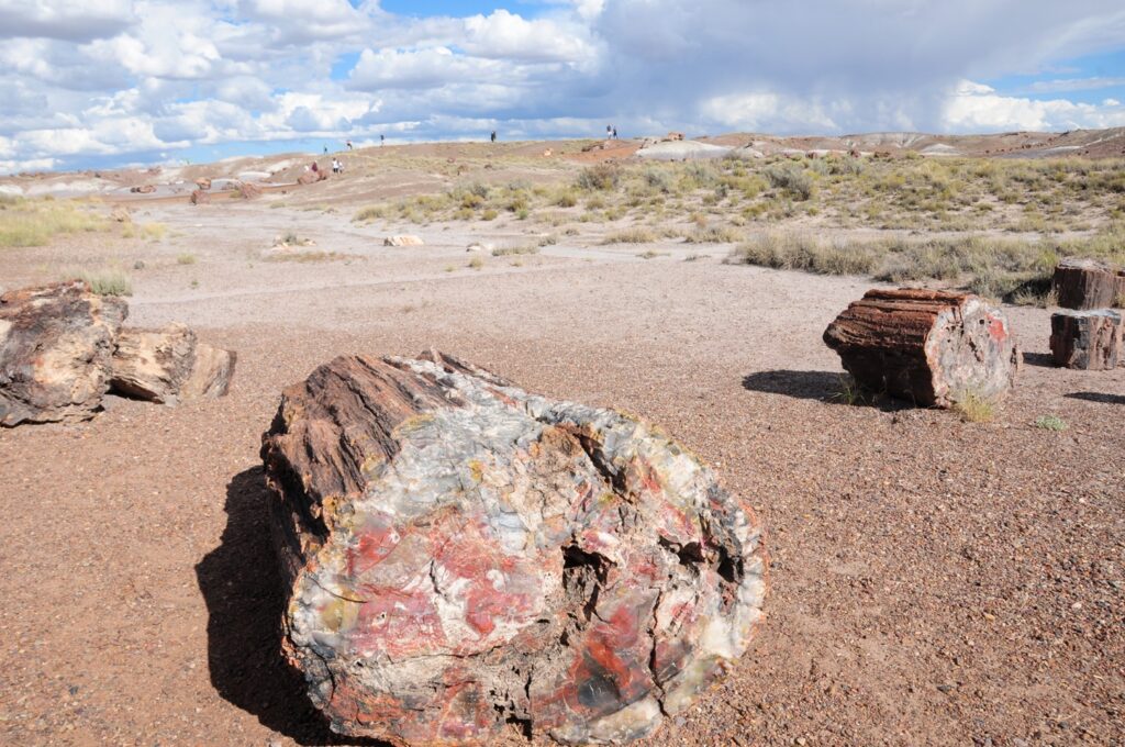 Petrified Forest National Park