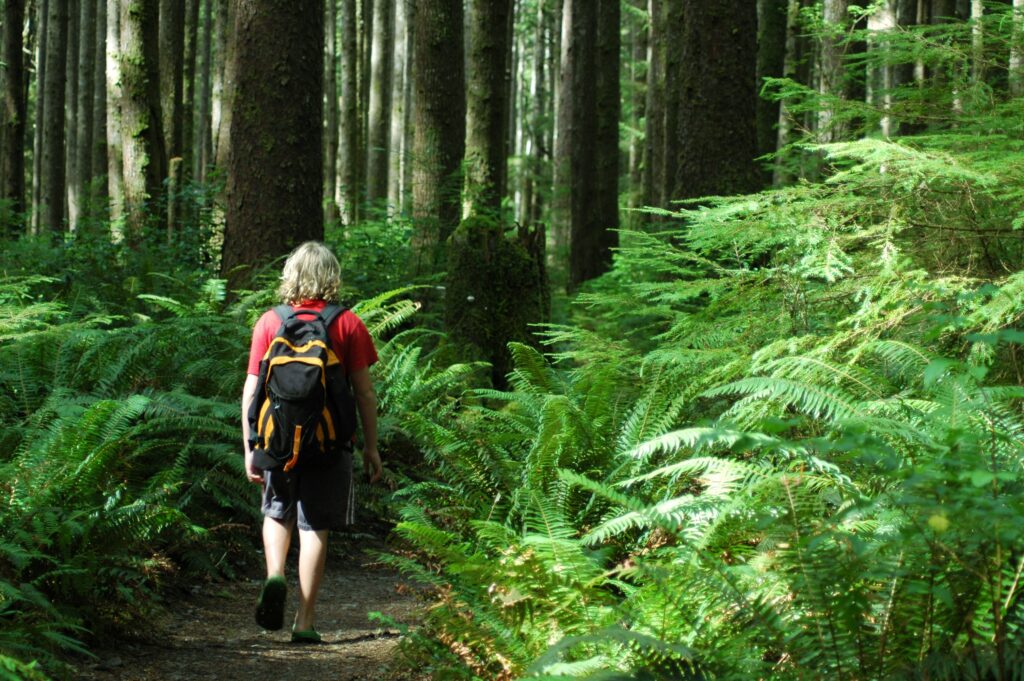 Olympic National Park
