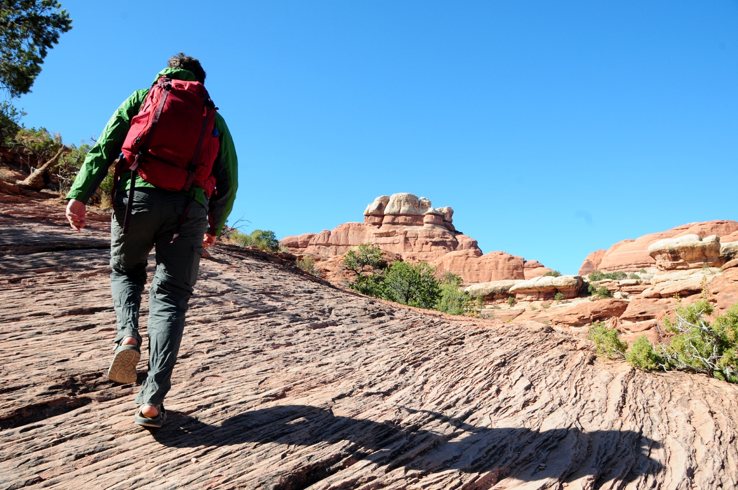 Needles District in Canyonlands National Park