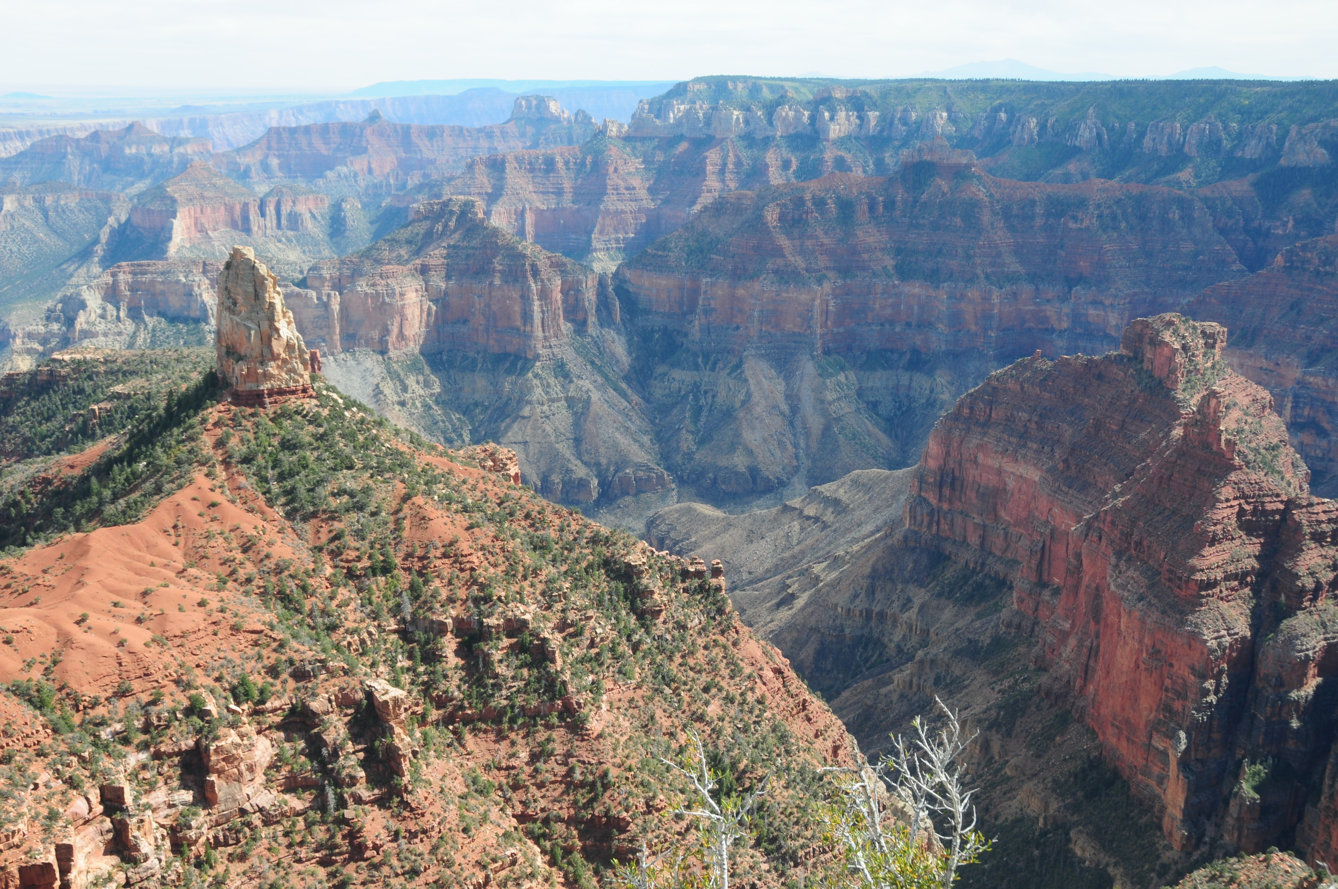 South Rim